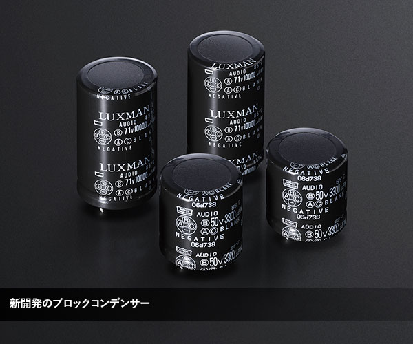 P750UMARKII ヘッドホンアンプ ブラスターホワイト P-750uMARKII ハイレゾ対応 ヘッドホンアンプ ブラスターホワイト P-750uMARKII [ハイレゾ対応